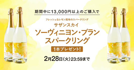 「ソーヴィニヨン・ブラン スパークリングワイン」をプレゼント!2月28日(火)23:59まで