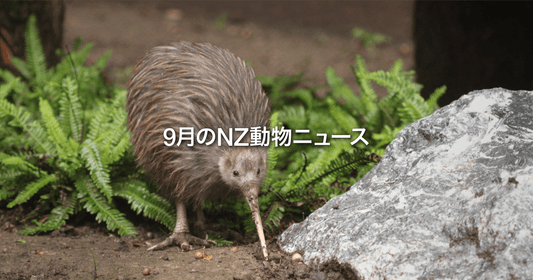 9月のNZ動物ニュース