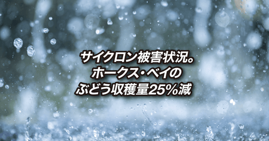 サイクロン被害状況。ホークス・ベイのぶどう収穫量25%減