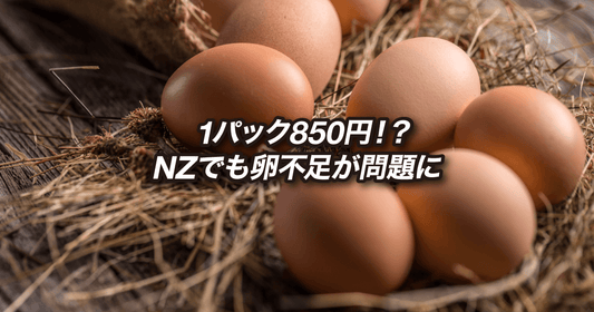 1パック850円!?NZでも卵不足が問題に