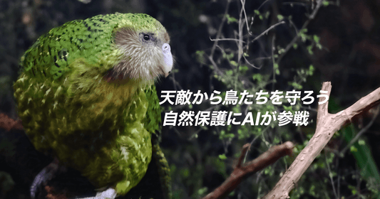 天敵から鳥たちを守ろう　自然保護にAIが参戦