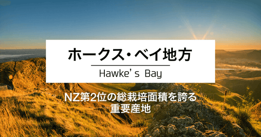 ホークス・ベイ地方|ニュージーランド第2位の総栽培面積を誇る重要産地