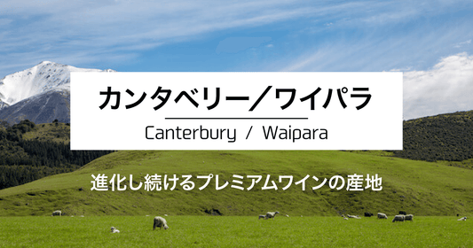 カンタベリー/ワイパラ|進化し続けるプレミアムワインの産地