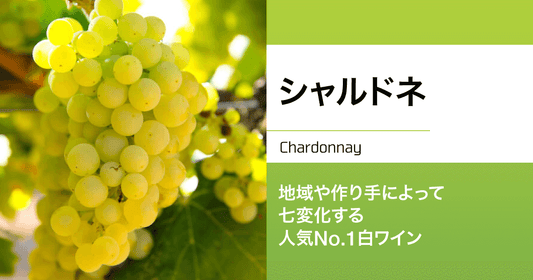 シャルドネ|地域や作り手によって七変化する人気No.1白ワイン