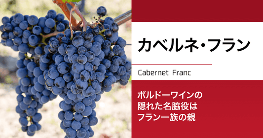 カベルネ・フラン|ボルドーワインの隠れた名脇役はフラン一族の親