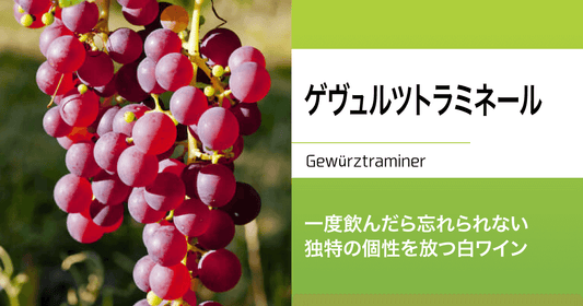 ゲヴュルツトラミネール|一度飲んだら忘れられない、独特の個性を放つ白ワイン