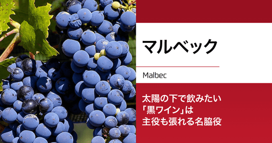 マルベック|太陽の下で飲みたい「黒ワイン」は主役も張れる名脇役