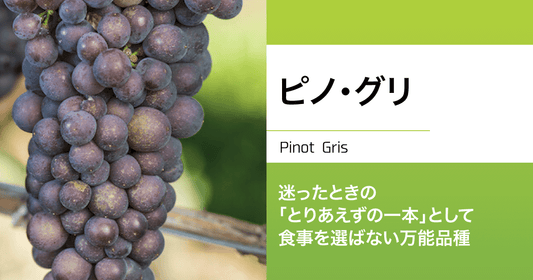 ピノ・グリ|迷ったときの「とりあえずの一本」として、食事を選ばない万能品種