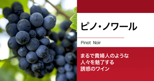ピノ・ノワール|まるで貴婦人のような人々を魅了する誘惑のワイン
