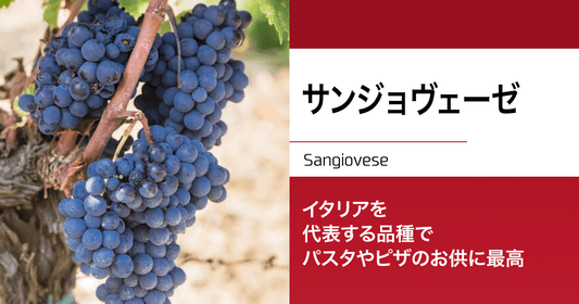 サンジョヴェーゼ|イタリアを代表する品種でパスタやピザのお供に最高