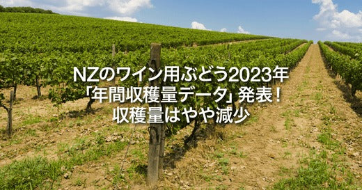 NZのワイン用ぶどう2023年「年間収穫量データ」発表!収穫量はやや減少