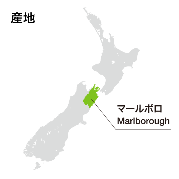 Astrolabe Marlborough Chardonnay 2023