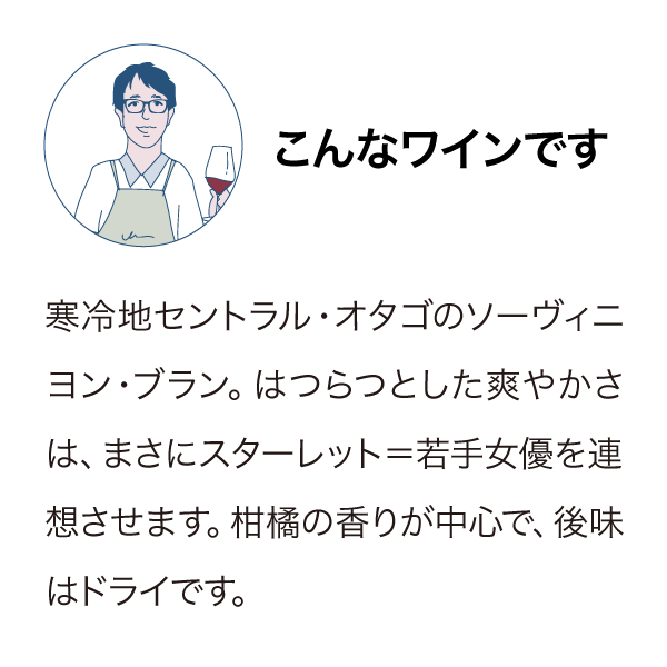 ミーシャズヴィンヤード ザ・スターレット ソーヴィニヨン・ブラン 2023
