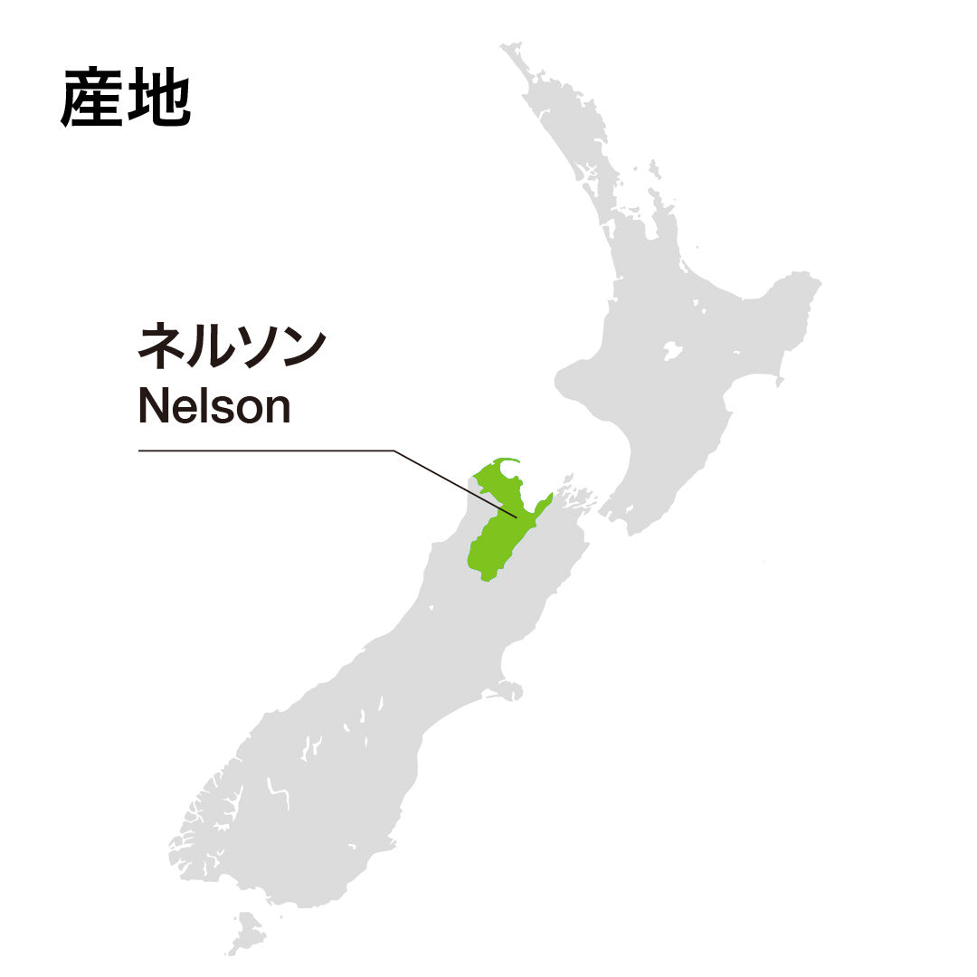 オールド・コーチ・ロード シャルドネ2024