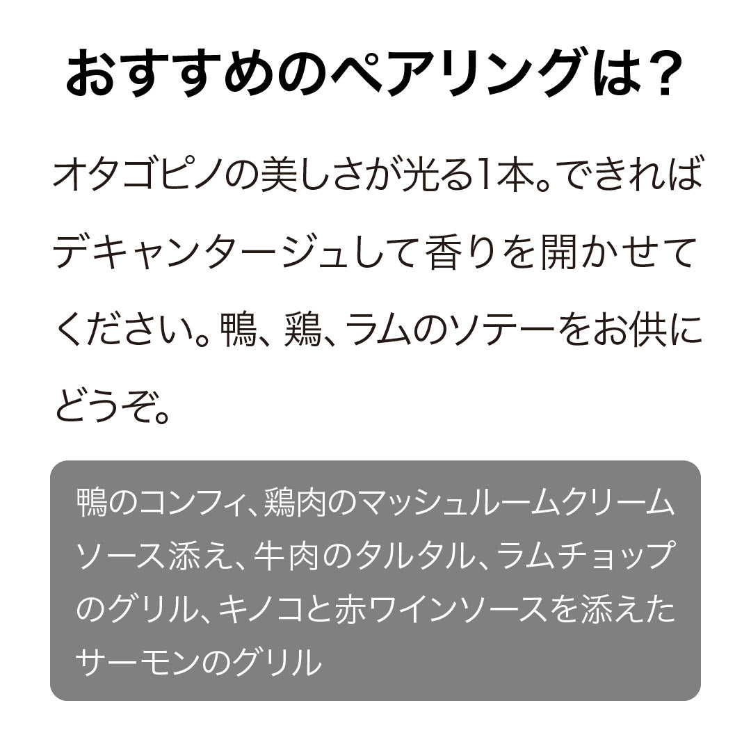 テラ・サンクタ ジャクソンズ・ブロック ピノ・ノワール 2021