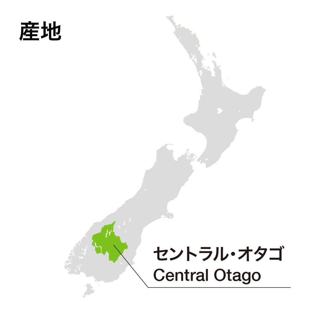 テラ・サンクタ ジャクソンズ・ブロック ピノ・ノワール 2021