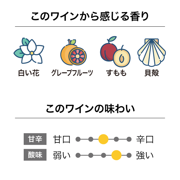 ブランクキャンバス アブストラクト ソーヴィニヨン・ブラン 2019