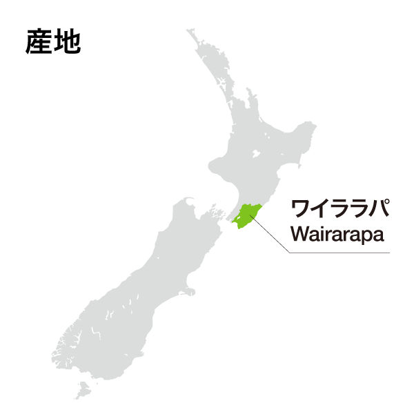 グリーンソングス ファンキー ソーヴィニヨン・ブラン 2020