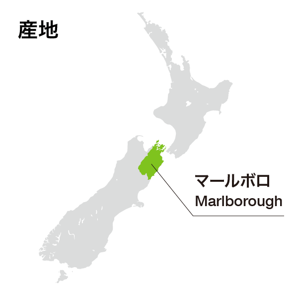Alan Scott Marlborough Black Label Chardonnay 2020