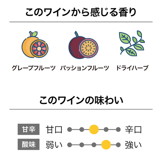 アラン・スコット マールボロ ソーヴィニヨン・ブラン2024