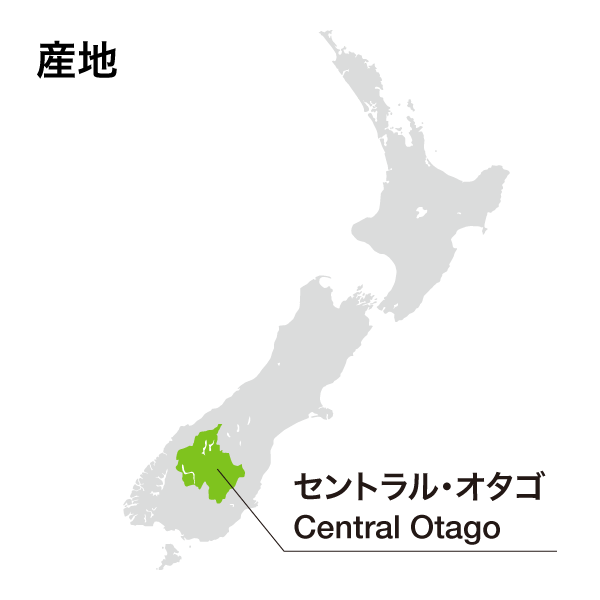 ペレグリン シャルドネ 2022