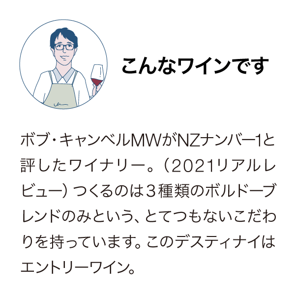 デスティニーベイ デスティナイ 2010