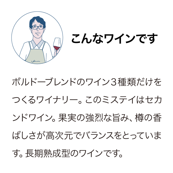 デスティニーベイ ミステイ 2010