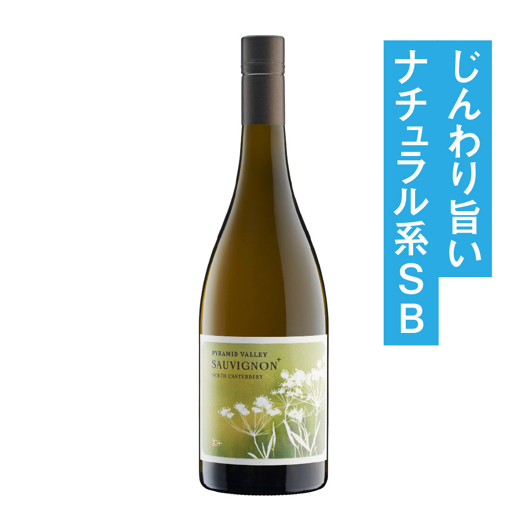 Pyramid Valley Vineyards North Canterbury Sauvignon Plus 2023