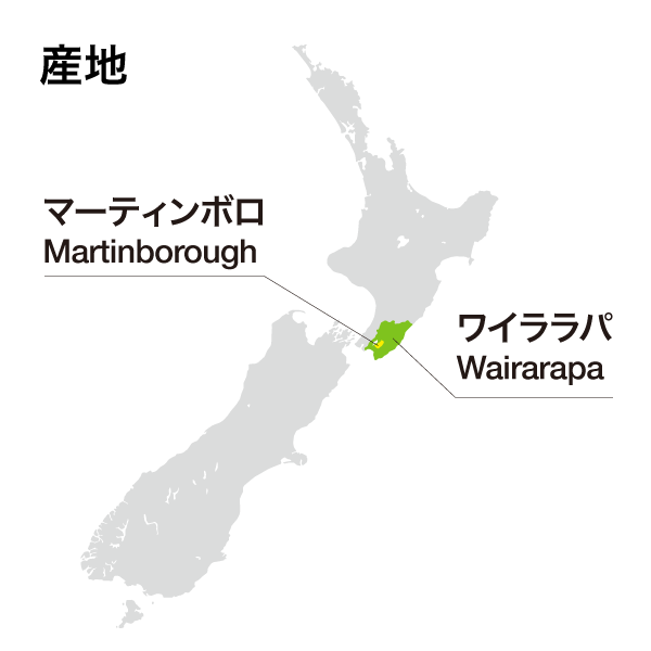グローヴス マーティンボロ シャルドネ 2022