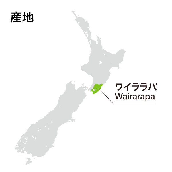 グリーンソングス アンバー ピノ・グリ2021