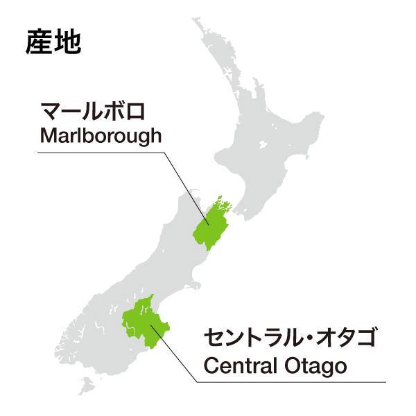 マナ バイ インヴィーヴォ ピノ・ノワール 2023