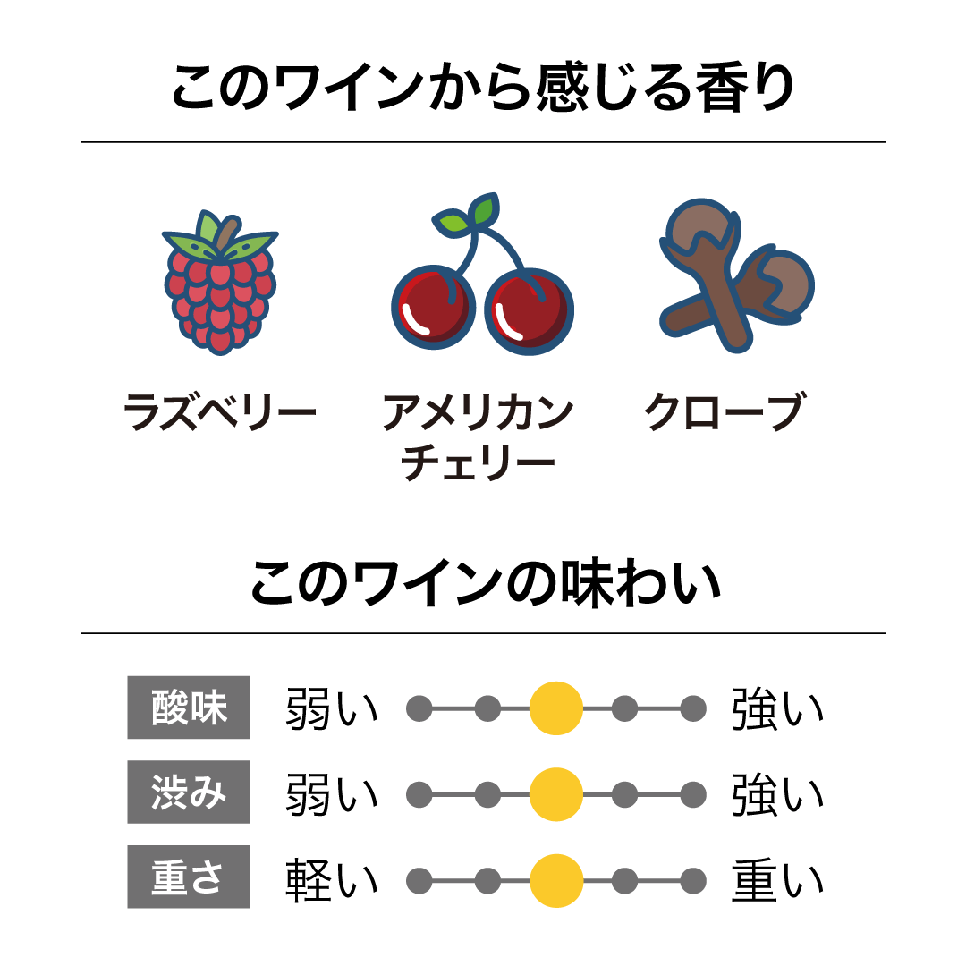 インヴィーヴォ X サラ・ジェシカ・パーカー SB & PNセット