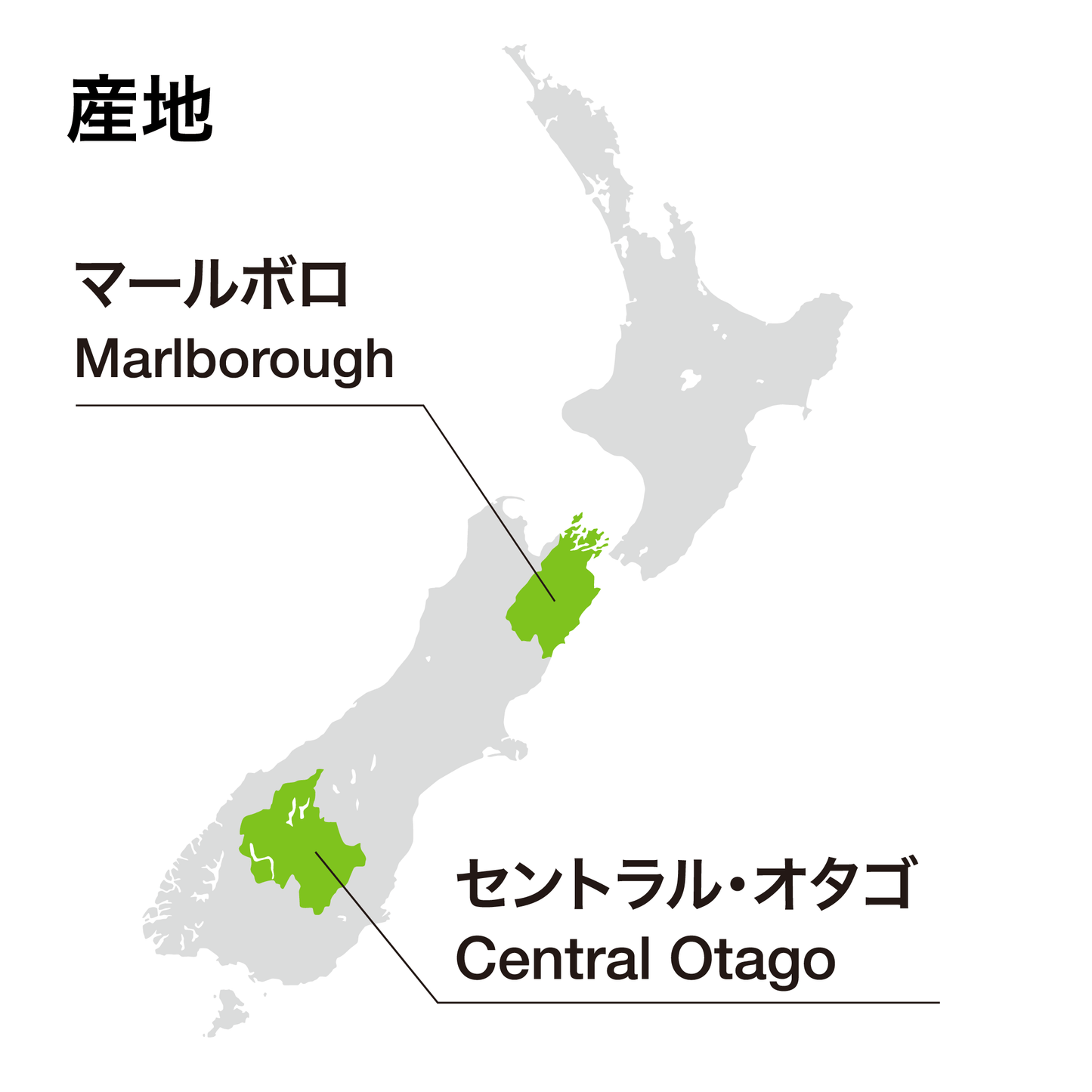 インヴィーヴォ X サラ・ジェシカ・パーカー ピノ・ノワール2023