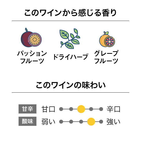 インヴィーヴォ X サラ・ジェシカ・パーカー SB & PNセット