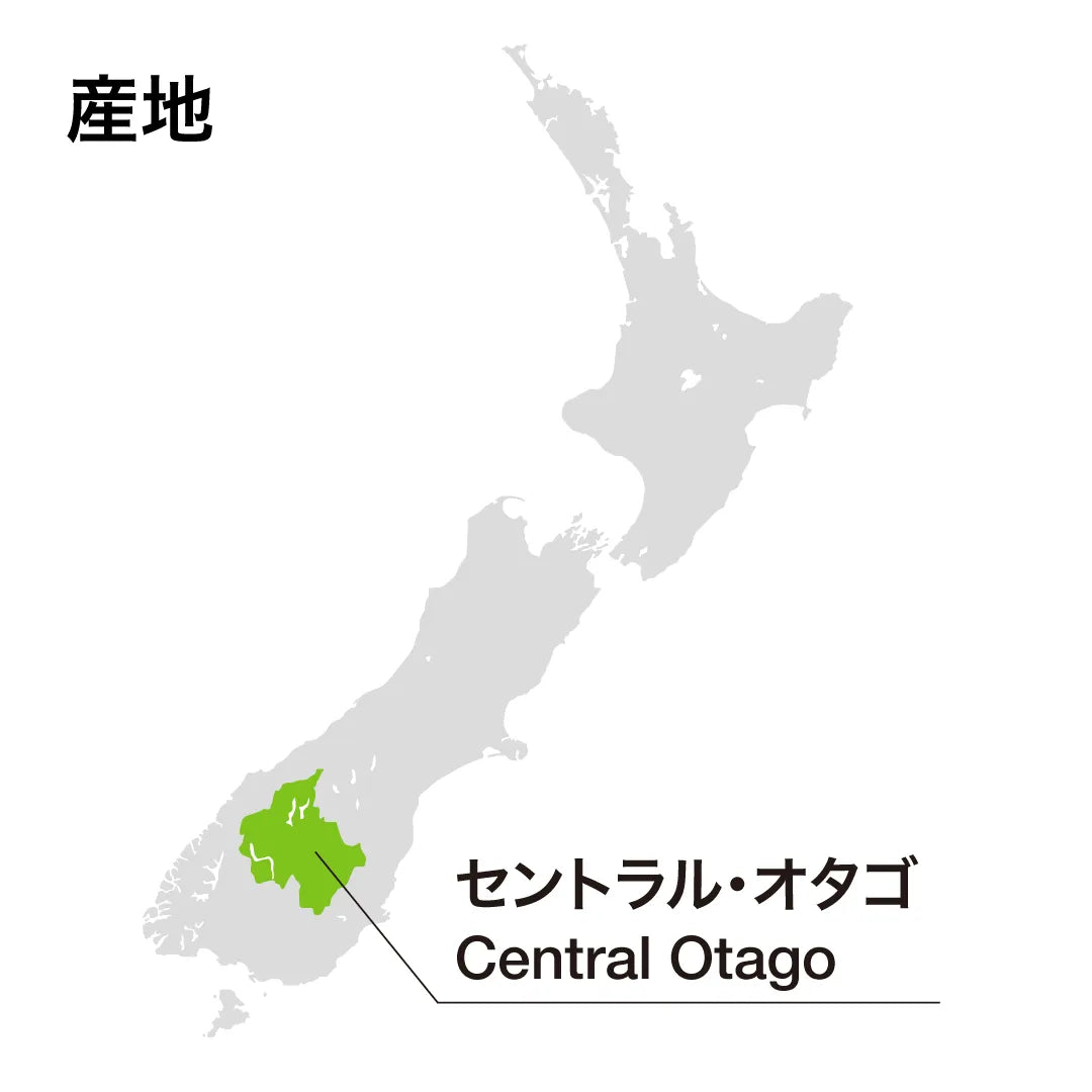 ラブブロック セントラル・オタゴ ピノ・ノワール 2022