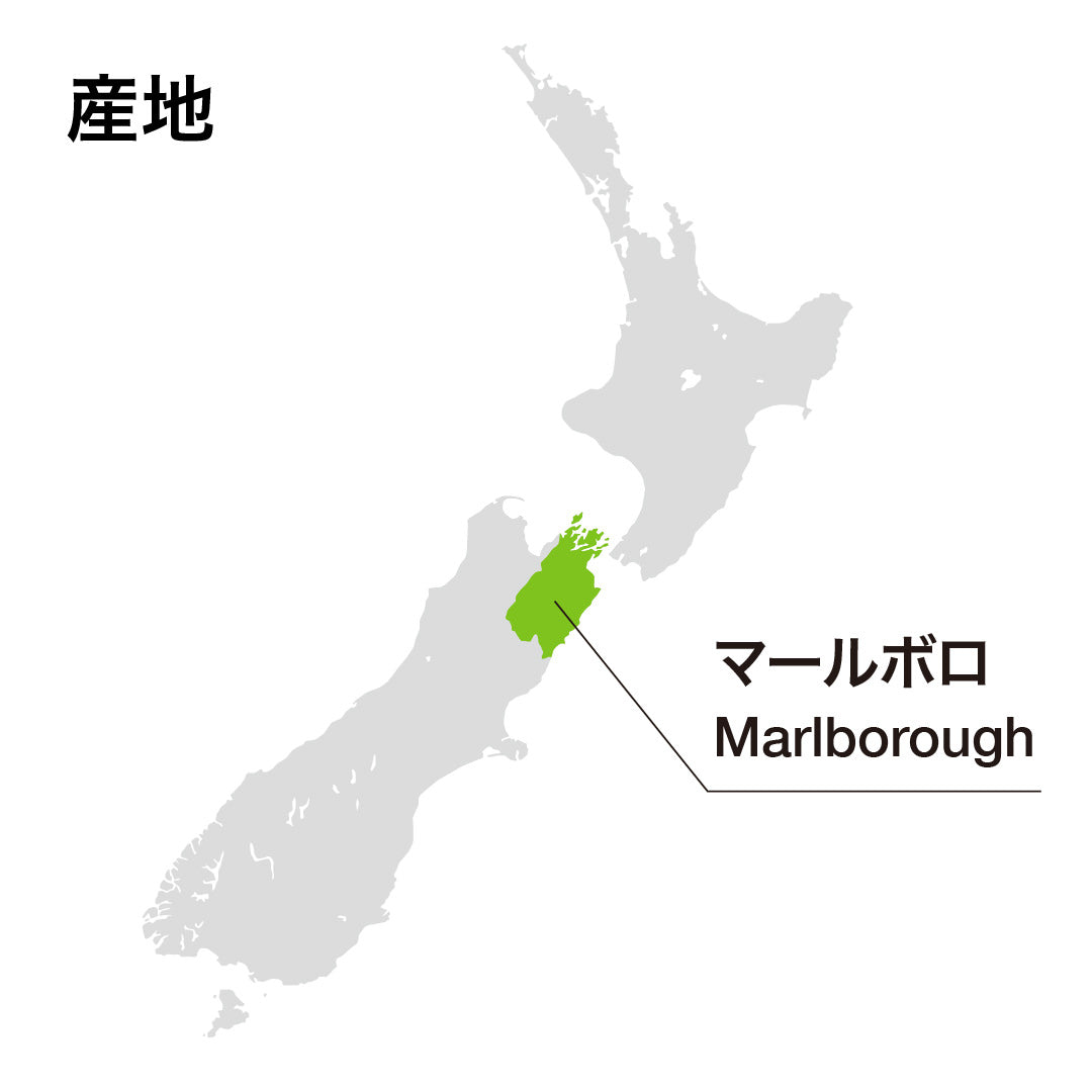マヒ マールボロ シャルドネ 2023