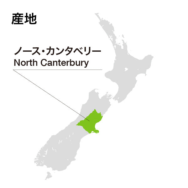 メイン ディヴァイド メルロー カベルネ 2022