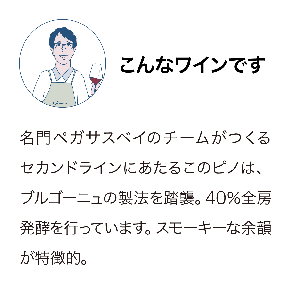 メインディヴァイド ピノ・ノワール 2022