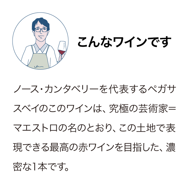 ペガサスベイ マエストロ 2020
