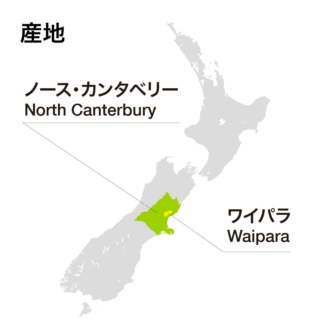 ペガサスベイ ピノ・ノワール 2022