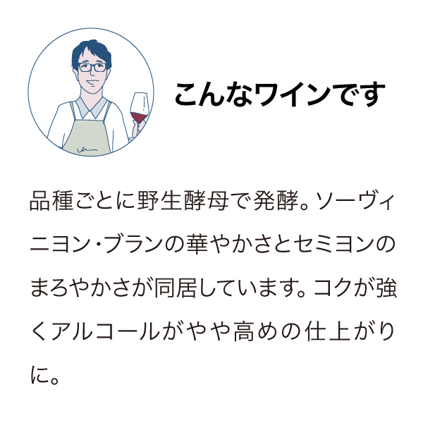 ペガサスベイ ソーヴィニヨン セミヨン 2020