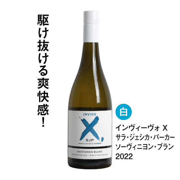【送料無料】多彩な美味しさ!品種のバリエーションを楽しむ6本セット