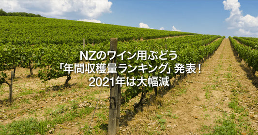 NZのワイン用ぶどう2021年「年間収穫量ランキング」発表！今年は大幅減