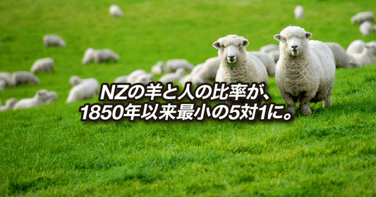 NZの羊と人の比率が、1850年以来最小の5対1に。