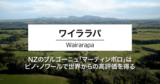 ワイララパ｜NZのブルゴーニュ「マーティンボロ」はピノ・ノワールで世界からの高評価を得る