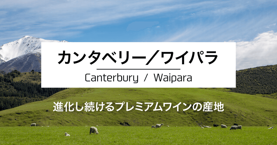 カンタベリー／ワイパラ｜進化し続けるプレミアムワインの産地