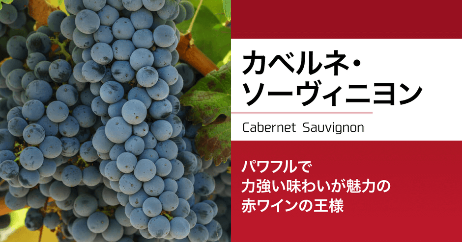 カベルネ・ソーヴィニヨン｜パワフルで力強い味わいが魅力の、赤ワインの王様