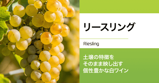 リースリング｜土壌の特徴をそのまま映し出す、個性豊かな白ワイン