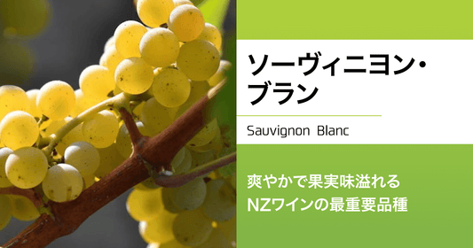 ソーヴィニヨン・ブラン｜爽やかで果実味溢れる、NZワインの最重要品種