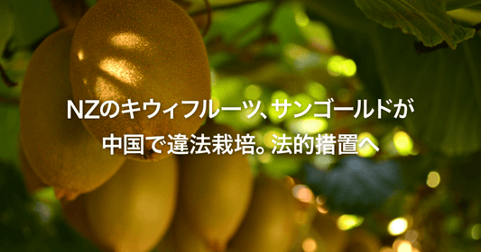 NZのキウィフルーツ、サンゴールドが中国で違法栽培。法的措置へ